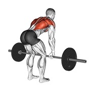 Bent Over Row