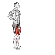Reverse Lunge